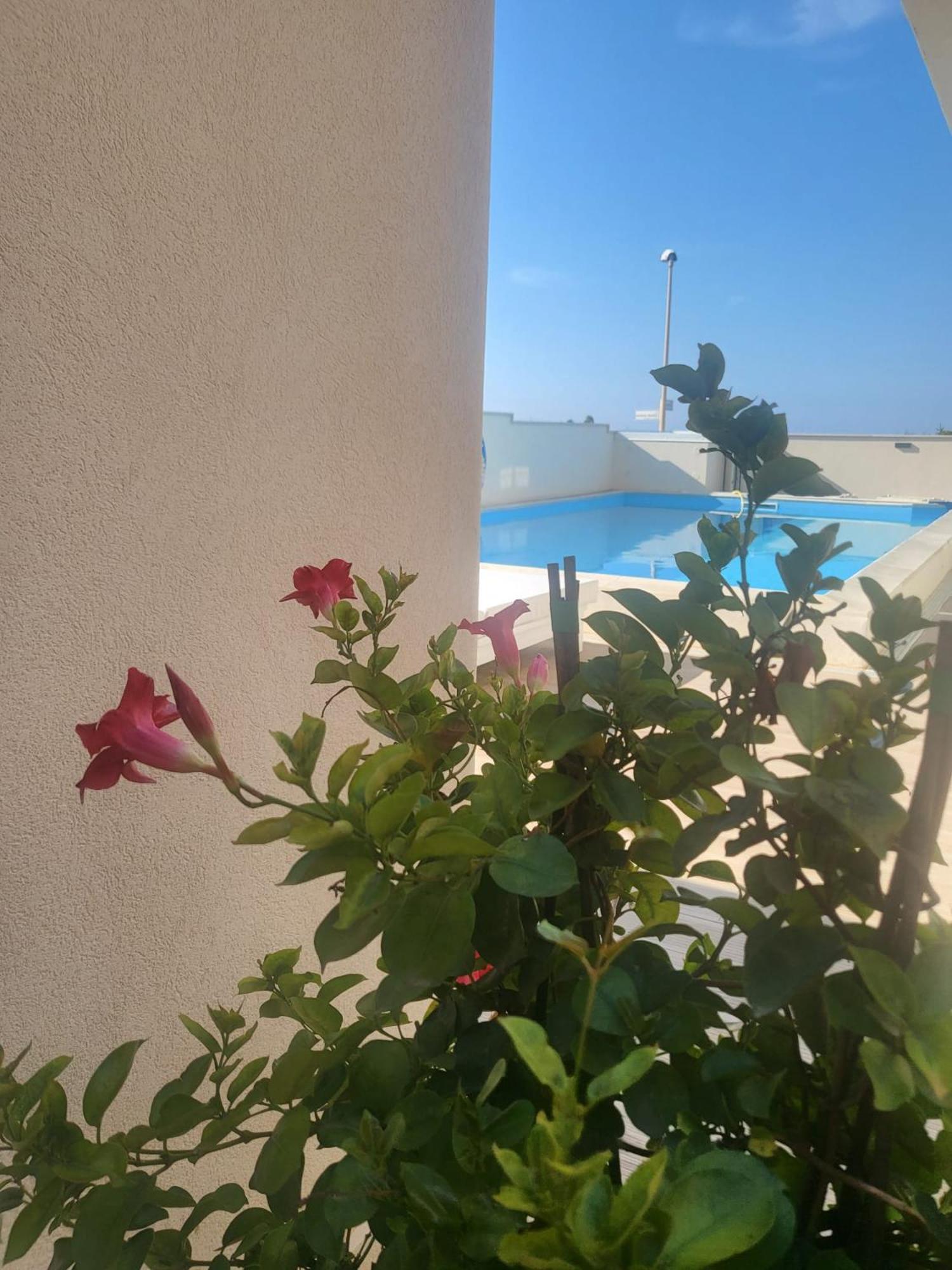 Hotel Casa P. Greco Portopalo Di Capo Passero Zewnętrze zdjęcie
